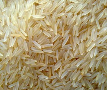 Long-Grain Aromatic Rice Grain Type Long Grain Type White Rice / Aromatic Rice Inspection Warehouse visit available Packaging PP bags / buyer’s requirement - GLOBAL AGRICOL LTD - Kenya